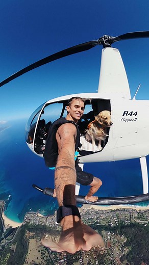 Puppy Tricks: Jumping Skills of the World's Best Pup