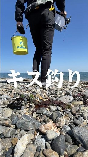 【キス釣り】ちょい投げでキス釣り絶好調！誰でも簡単に狙える美味しい魚！#shorts #釣り#キス釣り#ちょい投げ#投釣り#キス#シロギス#キス釣り方#フィッシング遊#サーフ#ファミリーフィッシング