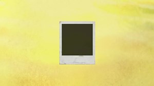 Enter your favorite Cat equipment photo for your chance to win a YETI Loadout GoBox! Enter here  https://fabickcat.info/3RpZBID | Fabick Cat | Facebook