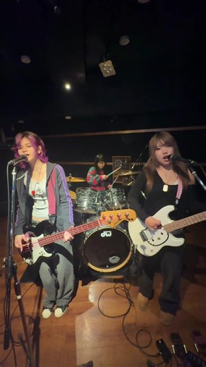 I Wanna Be Your Dog Cover by Riot Kitties