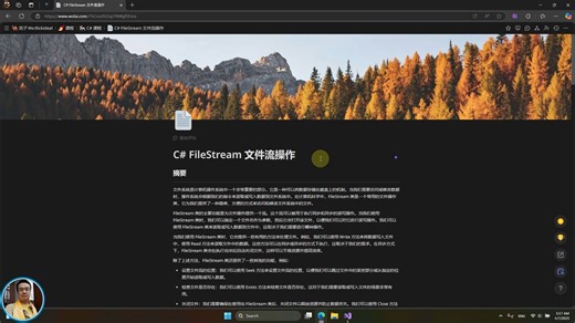 C# FileStream 文件流操作