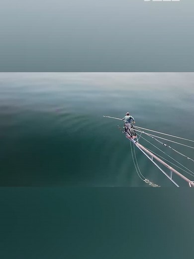 Harpoon Hunting Tips for the Best Fish Catch