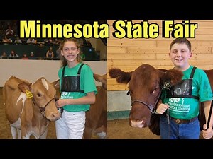 Trinity Dairy at the Minnesota State Fair/Showing Beef and Dairy Cattle