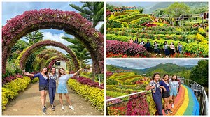 Buwakan ni Alejandra, Balamban's gorgeous flower garden