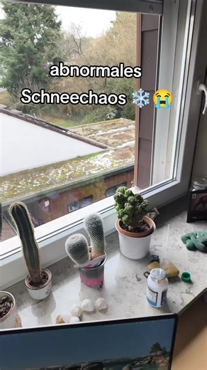 Snow Chaos: Unbelievable Winter Deals and Offers