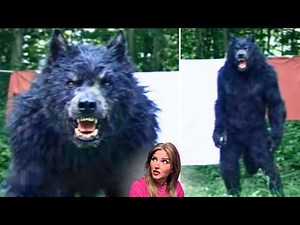 NEVER Watch Alone: 5 Terrifying DOGMAN Encounters & REAL Footage