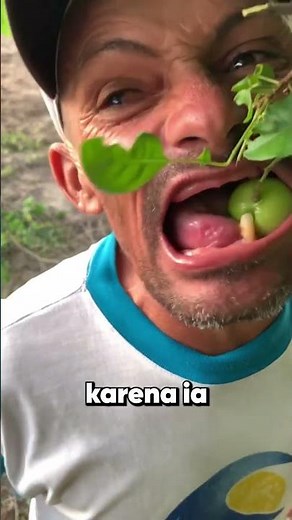 One tooth versus a fruit — who will win? #shorts