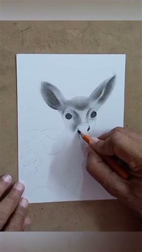 #howtodraw #realisticdrawing #art #deer #deerdrawing #pencilart #drawingtechniques #pencildrawing