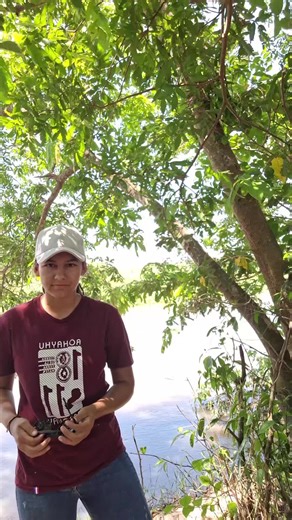 Exploring Nature: Observing Wildlife in Serene Settings