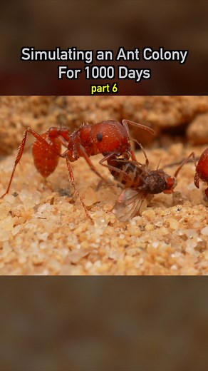Dr. Plants on Instagram: "Simulating an Ant Colony For 1000 Days pt 6 🐜 #ecosystem #wildlife #nature #plants #earth #pets #petsofinstagram"