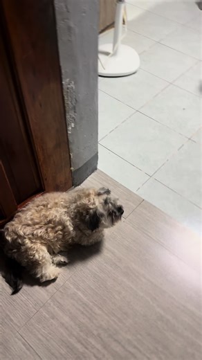 ms.munchie❤️ on TikTok