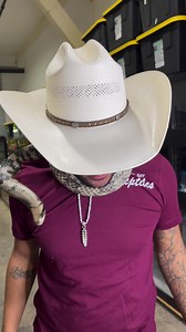 False Water Cobra Was A Python In The Past Life 😂 #snakes #animals #pets #funny | Nick The Wrangler