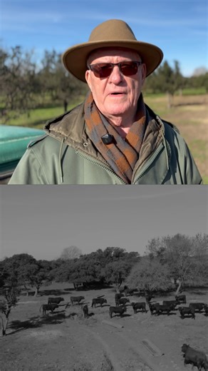 🎥 Nouveau reportage vidéo à découvrir ! Plongez au cœur de l’histoire de la manade Viret, première manade de taureau espagnol de combat en France, à l’origine même des futures manades françaises. Un héritage fondateur que retrace avec passion le nouveau livre de Jacky Tourreau. Dans ce sujet, interviennent : Jacky Tourreau, l’auteur, Christian Chalvet, chroniqueur taurin, Michel Gallon, éleveur de taureaux. Tous trois reviennent sur cette aventure unique qui a marqué l’histoire de la culture ta