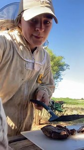 2.1K views · 365 reactions | Spot to eat out here in the bush. ‍ . . Beekeeping | Rural Living | Primary Producer | Young Farmer | Life on the Road | Producing Honey | Beeswax | Outdoor Living | Women in Agriculture | . . #womeninag #aggie #lunchtime #rurallife #smoko | Phia's bees | Facebook
