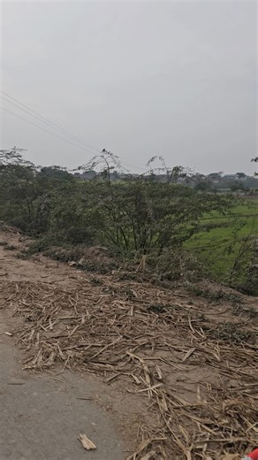 defrant design 🌏🌏 (@muqaddasvlog)’s videos with original sound - Khalil_aesthetic