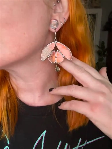 Real Cicada Wing Double Paned Glass Earrings With Glass Dangle Bead - Etsy