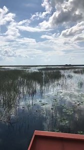 51 reactions · 23 comments | Python Cowboy Hunts on Reels | Facebook