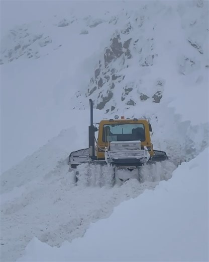 Selkirk Snowcat Skiing on Reels
