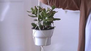 Makramee-Blumenampel selber machen: Anleitung - Plantura