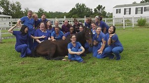 5.7K views · 55 reactions | Students share why they chose the...