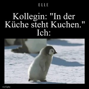 1.5M views · 3.7K reactions | ELLE on Reels | Facebook