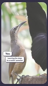 6.3K views · 5.1K reactions | Take the step and make sure you have the support you need to really know your stuff this semester. | Chegg | Facebook