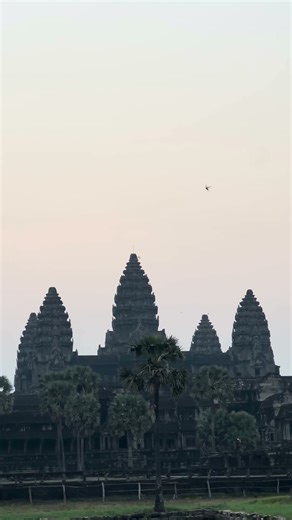 What a magical! Clapping birds early morning 😍