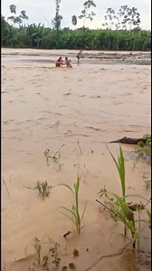 1.4M views · 32K reactions | Do Ladka Pe Gayi Paani meinWebdriver unofficial event paidPradhan MeenaIshan KishanHare Krishna - हरे कृष्णSonu singer meena Geet | Pradhan Meena | Facebook