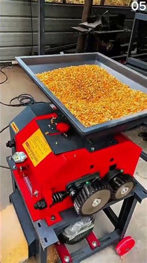 Processing corn kernels with mechanical sheller machine