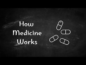 What Is Health Science? | Intro to Medicine, Healthcare & Medical Careers