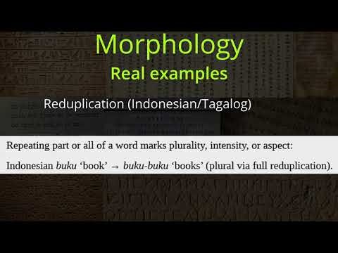 Linguistics 101: Morphology Examples