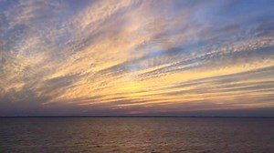 1.2K views · 127 reactions | The best one this week so far... | The Blue Point | Facebook