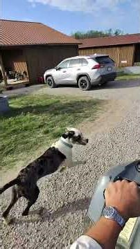 First Look at The Lamb Ranch!