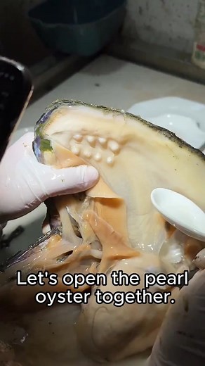 Exploring the World of Pearls: Oyster Pearl Opening and Pearl Farming