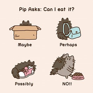 😼 | Pusheen