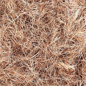 Lavex 50 lb. Very Fine™ Paper Shred Kraft