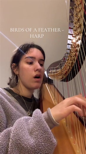 Birds of a Feather Harp Cover