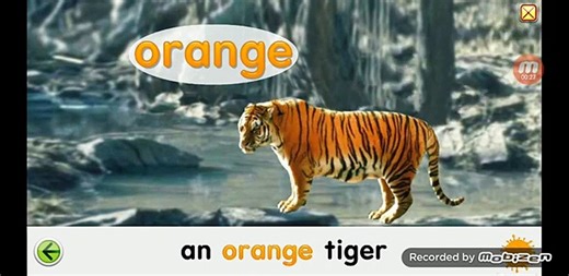 Starfall Colors_ Orange.mp4