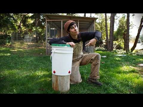 Cheap and simple DIY 5 gallon bucket chicken waterer.