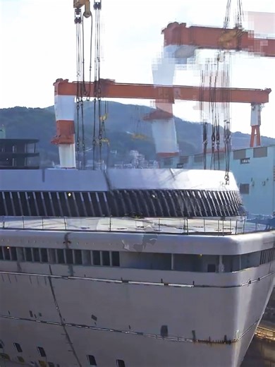 World’s Biggest Ship Carrier Ever Built 😱🚢 This massive ship carrier is so huge it looks like a floating city! 🌊🚢 The world’s biggest heavy transport vessel moving giant ships across oceans like toys 🤯 Engineering at its peak — size, power, and insane capacity you won’t believe! Watch till the end to see how small other ships look next to it 😳 #WorldRecord #InsaneSize #NextLevel #Unbelievable #hustlestacks