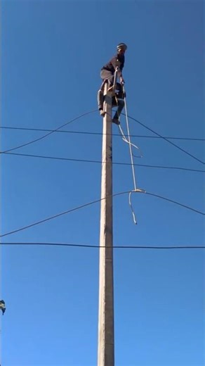 11kv new Lin installation #electrician #viralvideo #linman #trendingshorts