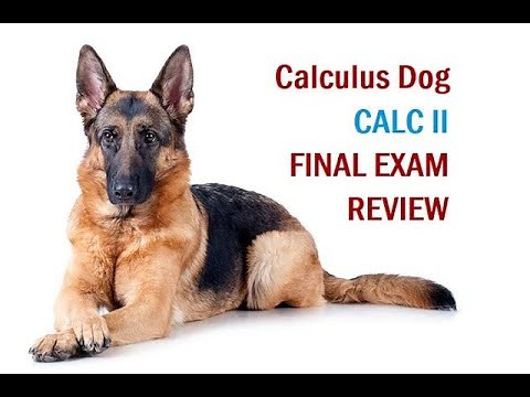 16. Calculus II Final Exam Review S22