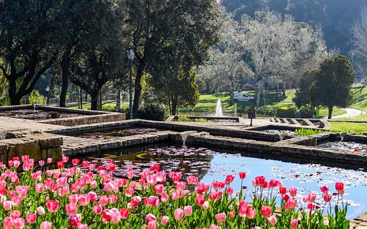 Il Montjuïc di Barcellona: come arrivarci e cosa visitare