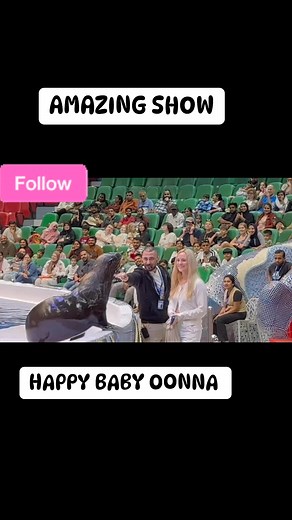 5 comments | Ang Ganda ng Sea Lion at Amazing Dolphins #highlights | Oona Martha | Facebook