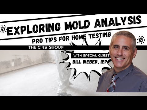 Test your home for mold, actinos, & endotoxins the right way! The art of dust testing w/ Bill Weber
