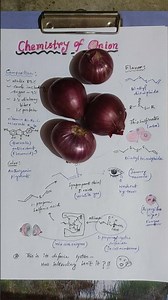 Chemistry of Onion🧅