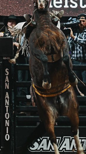 Sage Newman Rodeo Performance in San Antone