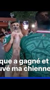 Mondial: une femme retrouve sa chienne grâce à une vidéo des célébrations de la victoire du Mexique
