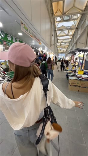 37K views · 715 reactions | Bahhhhhhh  | Costco Ho | Facebook