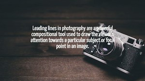 What Is Leading Lines In Photography